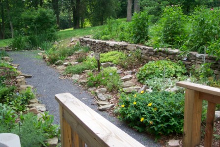 Nature Center herb garden