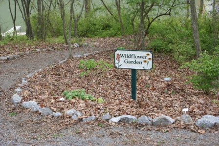 Nature Center wildflower garden