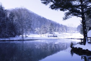 Snowy Day