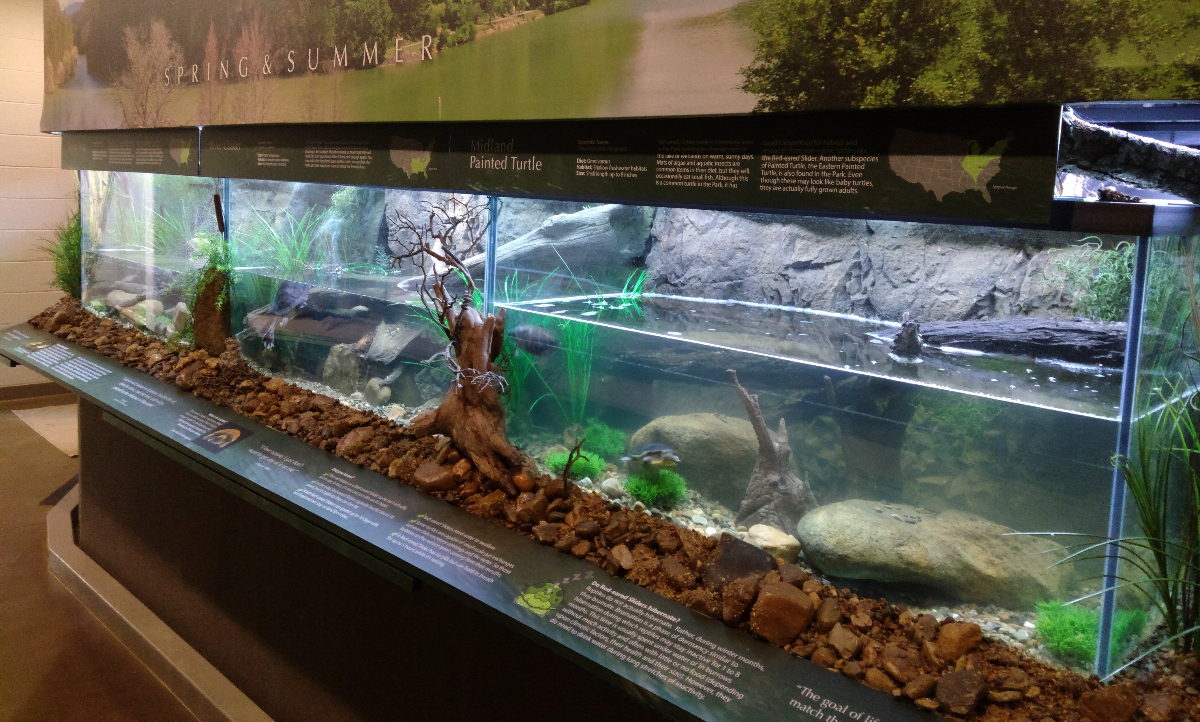 300 gallon reptile tank
